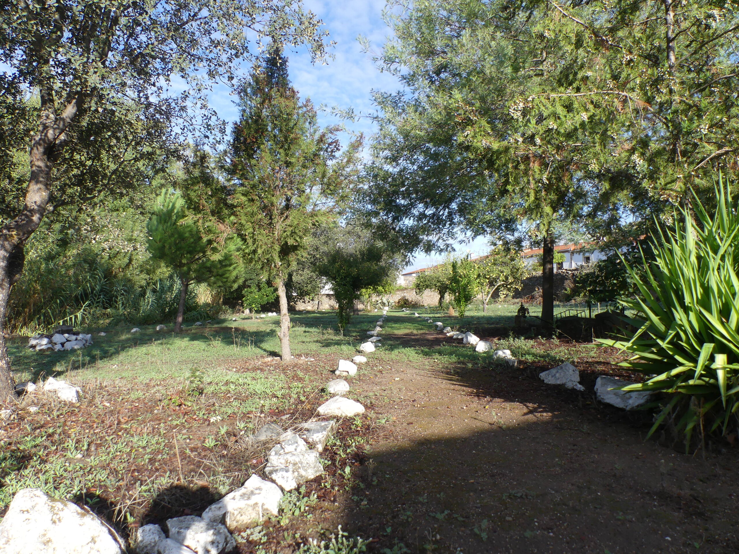 taliga5
